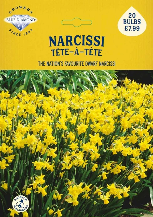 Narcissi Tete a Tete BR - image 1