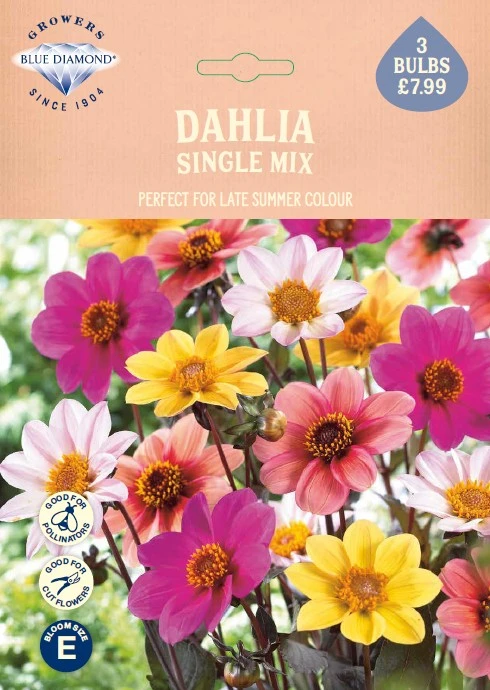 Dahlia Mixed