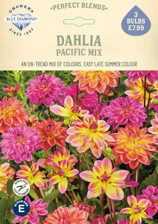 Dahlia Pacific Mix