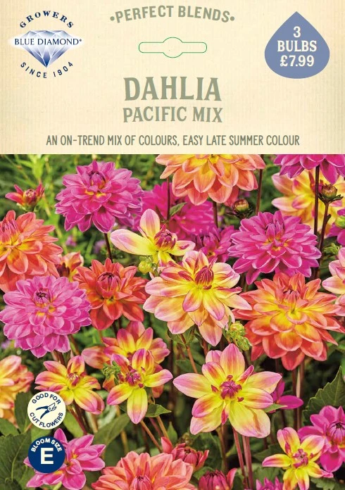 Dahlia Pacific Mix