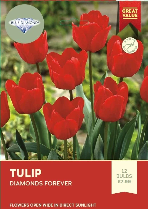 Tulip Diamonds Forever
