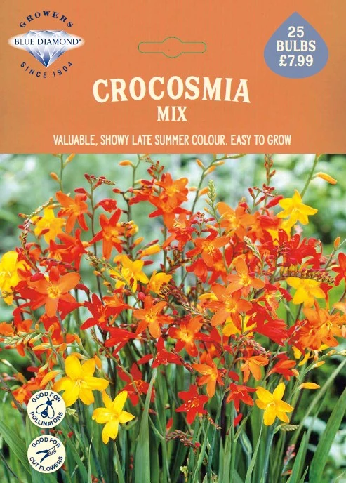 Crocosmia Mix