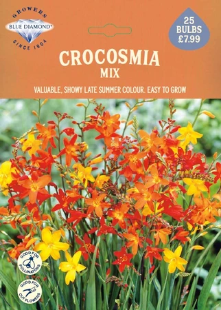 Crocosmia Mix