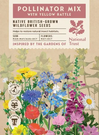 Pollinators Wildflower Mix - image 1