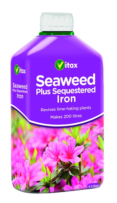 Seaweed Plus Sequestered Iron L