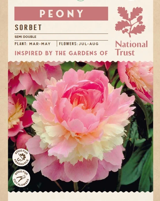 Peony Sorbet