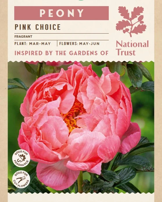 Peony Pink choice