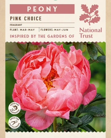 Peony Pink choice