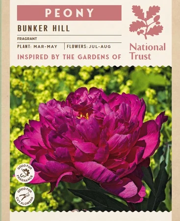 Peony Bunker Hill
