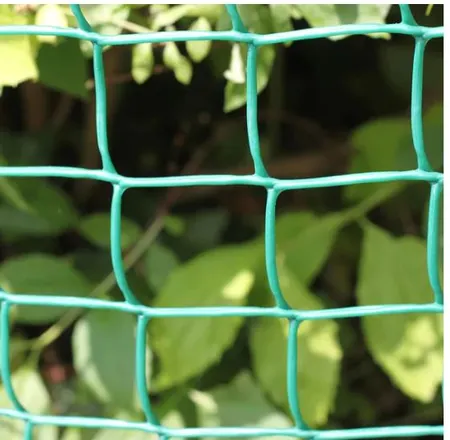Green Plastic Mesh Per M 50Mm