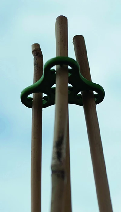 Plant Halos Green 3Pk - image 4