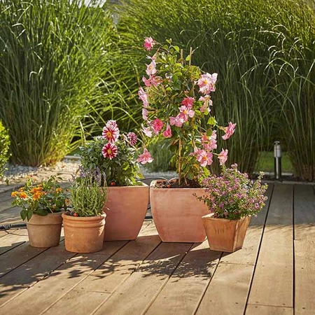 Extension Set Flower Pots - image 4