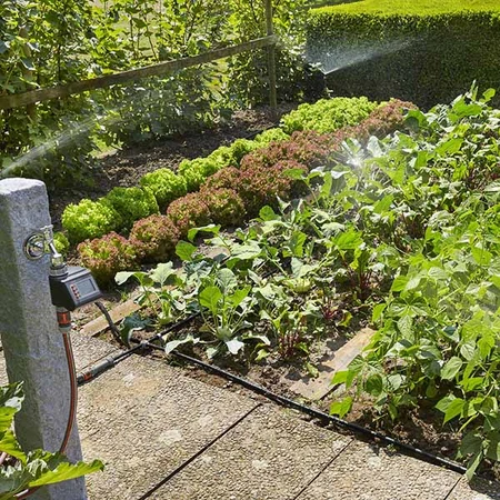 Start Set Planted Areas - image 4