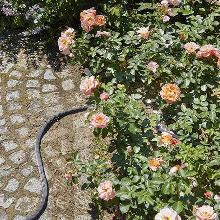 Textile Hose Liano - image 5
