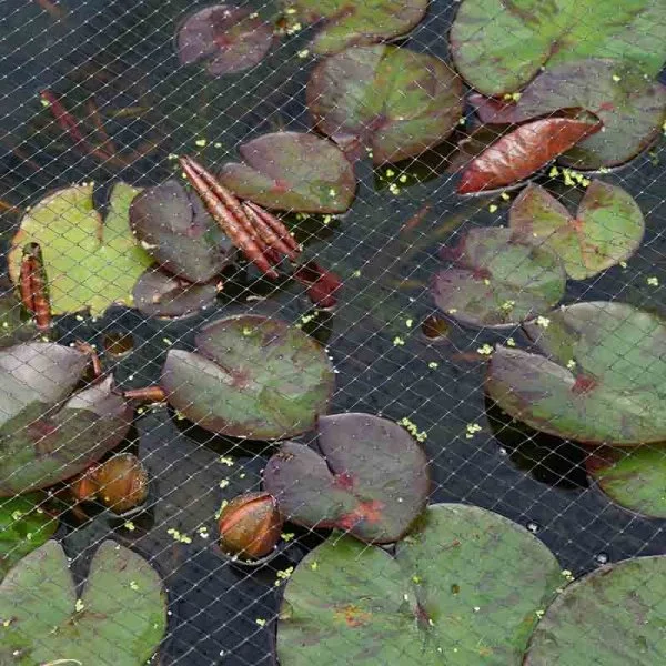 Pond+Fruit Cage Netting Black 12Mm Mesh - image 2