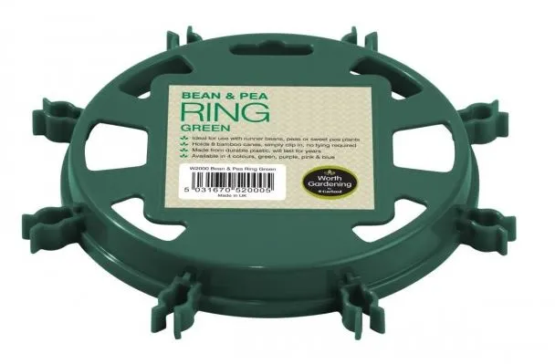 Bean And Pea Ring Green