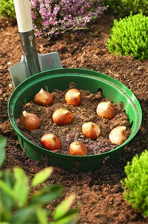 Bulb Baskets Round Small 3Pk - image 3