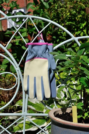 Ladies Stretch Fit Glove - image 4