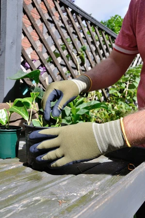 Mens Weeding Glove - image 4