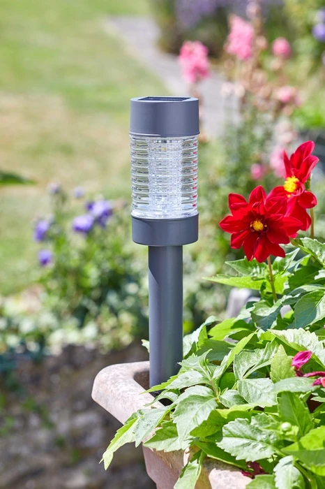 365 Solar Martini Stake Light - image 4