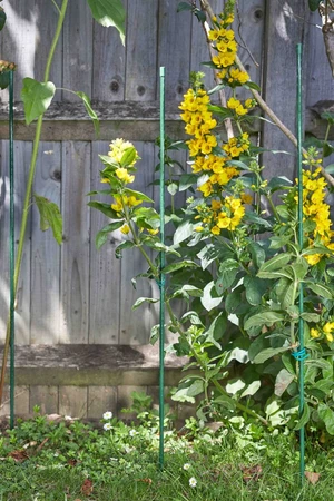 Plastic Coated Stake
