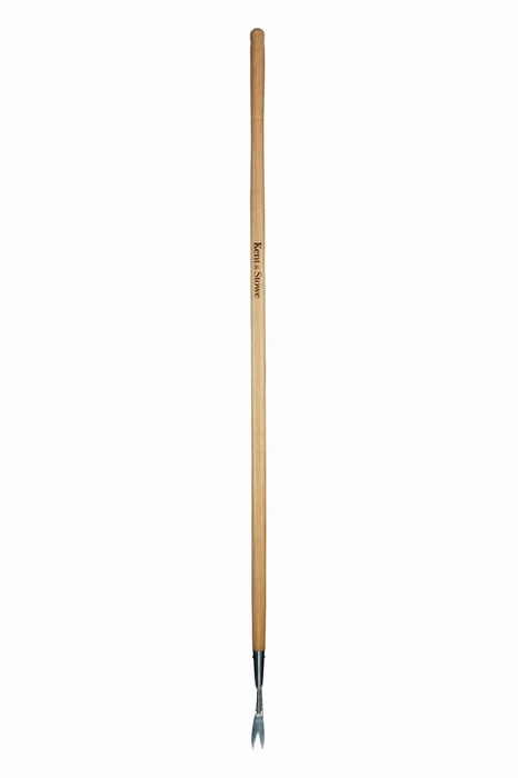 Y21 Ks Ss Long Handled Daisyweeder