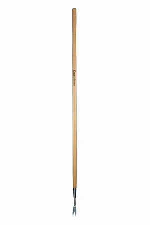 Y21 Ks Ss Long Handled Daisyweeder