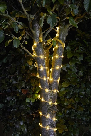 Solar Rope Lights 100 Warm White - image 1