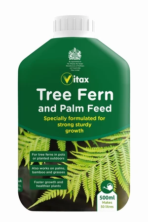 Tree Fern + Palm Feed