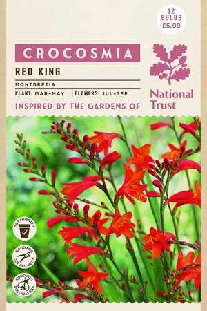 Nt Crocosmia Red King - image 1