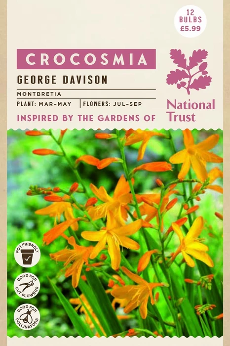 Nt Crocosmia George Davison - image 1