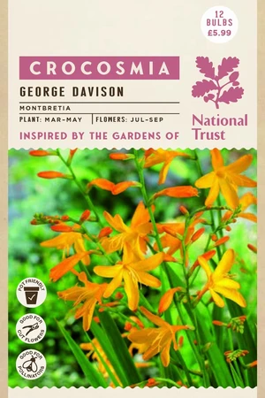 Nt Crocosmia George Davison - image 1