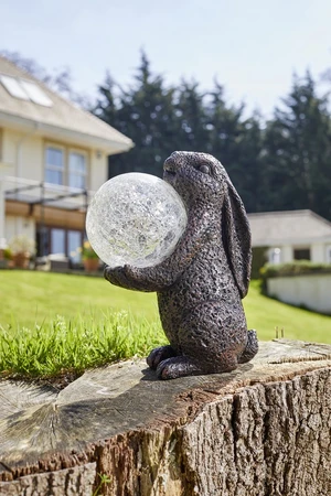 Solar Hare Magic - image 4