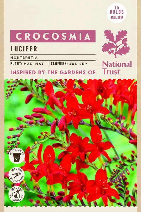 Nt Crocosmia Lucifer - image 1
