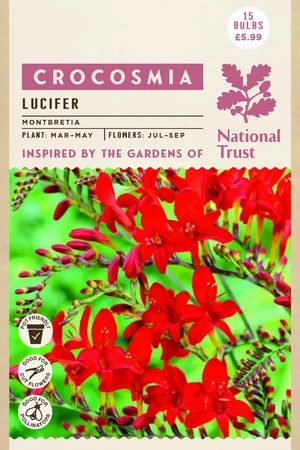 Nt Crocosmia Lucifer - image 1