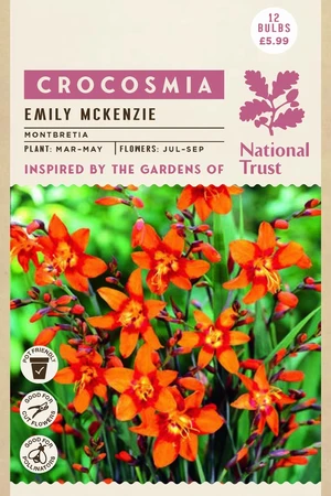 Nt Crocosmia Emily Mckenzie - image 1