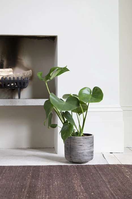 Drift Indoor Pot 25cm