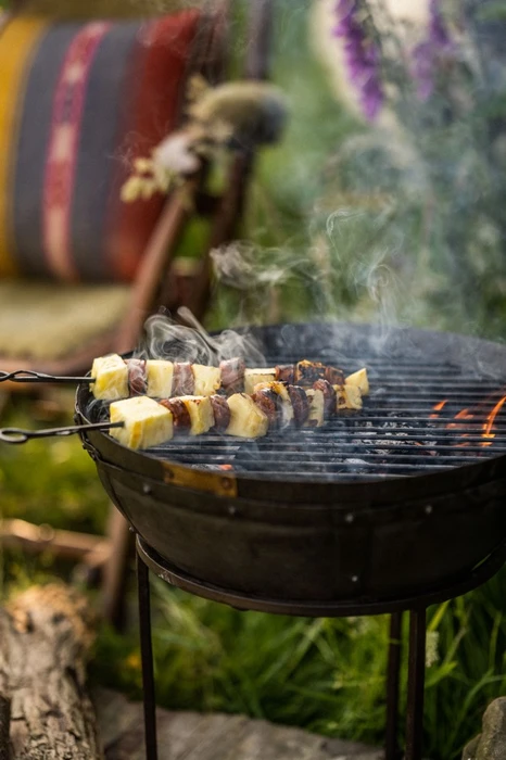 Travel Skewers - image 4