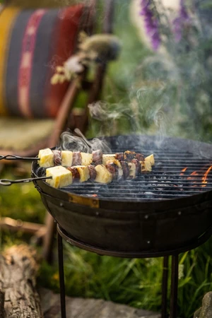 Travel Skewers - image 4