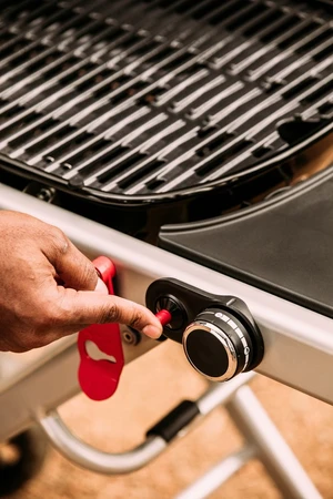 Weber Traveler LP Black - image 23