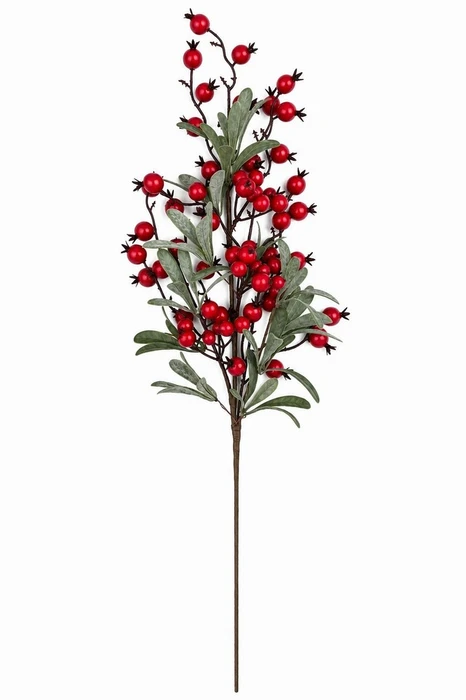 Red Berry & Mistletoe Stem