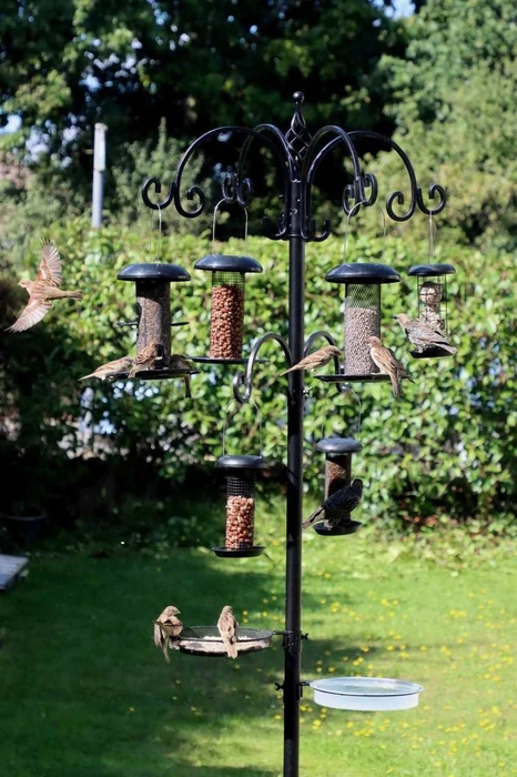 Heavy Duty Feeding Station