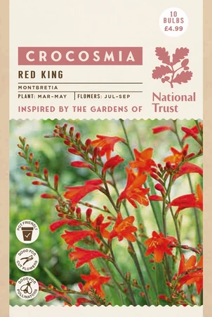 Nt Crocosmia Red King - image 2