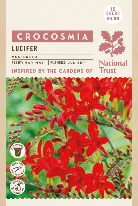 Nt Crocosmia Lucifer - image 2