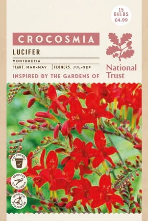 Nt Crocosmia Lucifer - image 2