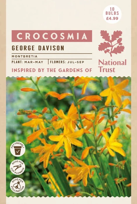 Nt Crocosmia George Davison - image 2