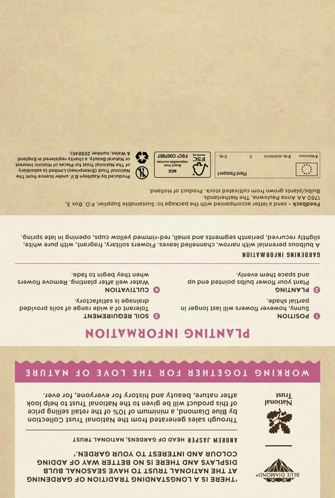 Narcissus Pheasant Eye - image 5