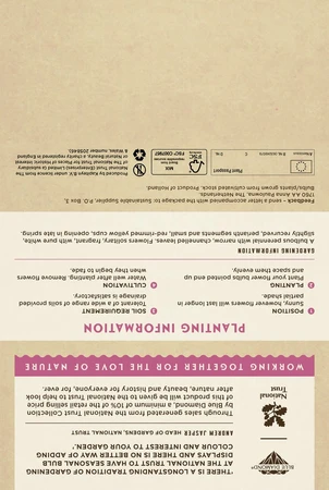 Narcissus Pheasant Eye - image 5