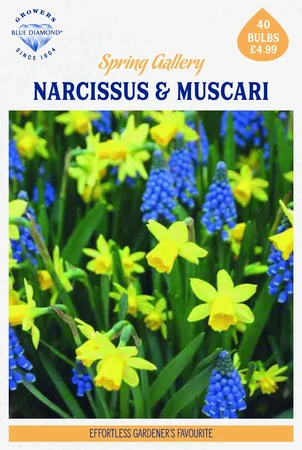 Spring Gallery - image 2