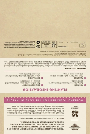 Leucojum Aestivum - image 5